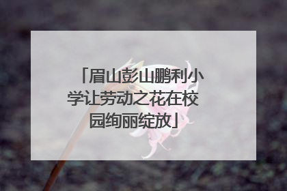 眉山彭山鹏利小学让劳动之花在校园绚丽绽放