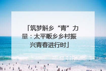 筑梦斛乡“青”力量：太平畈乡乡村振兴青春进行时