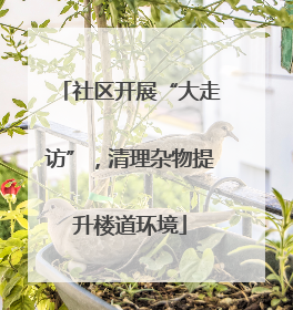 社区开展“大走访”，清理杂物提升楼道环境