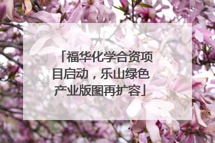 福华化学合资项目启动，乐山绿色产业版图再扩容