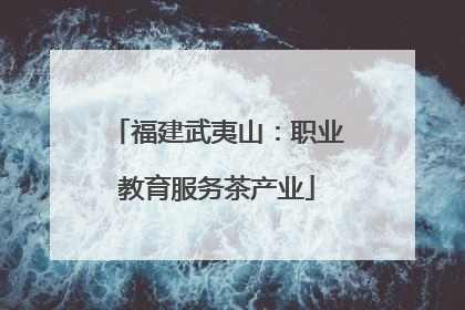 福建武夷山：职业教育服务茶产业