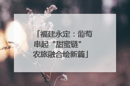 福建永定：葡萄串起“甜蜜链” 农旅融合绘新篇