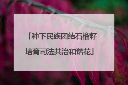 种下民族团结石榴籽 培育司法共治和谐花