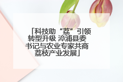 科技助“荔”引领转型升级 漳浦县委书记与农业专家共商荔枝产业发展