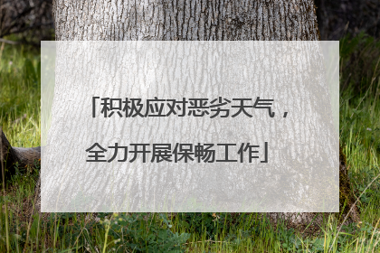 积极应对恶劣天气，全力开展保畅工作