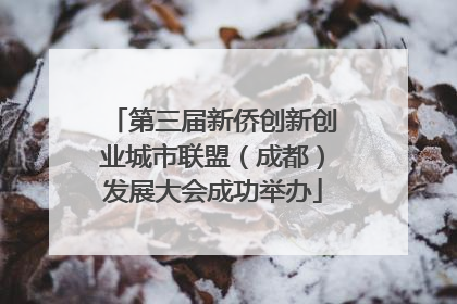 第三届新侨创新创业城市联盟（成都）发展大会成功举办
