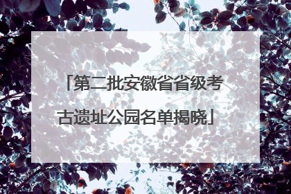 第二批安徽省省级考古遗址公园名单揭晓