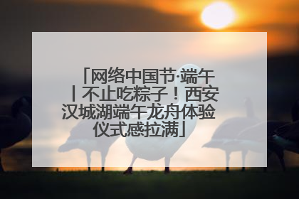 网络中国节·端午丨不止吃粽子！西安汉城湖端午龙舟体验仪式感拉满