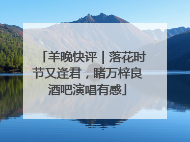 羊晚快评｜落花时节又逢君，睹万梓良酒吧演唱有感