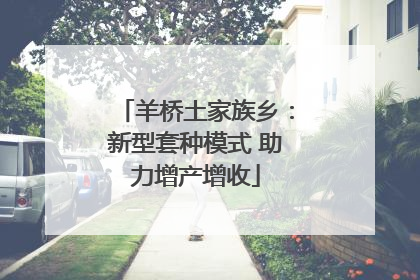 羊桥土家族乡：新型套种模式 助力增产增收