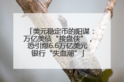 美元稳定币的阳谋：万亿美债“接盘侠”，恐引爆6.6万亿美元银行“失血潮”