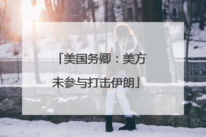 美国务卿：美方未参与打击伊朗