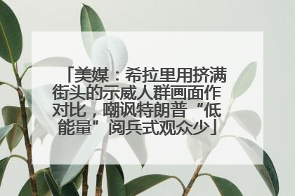 美媒：希拉里用挤满街头的示威人群画面作对比，嘲讽特朗普“低能量”阅兵式观众少