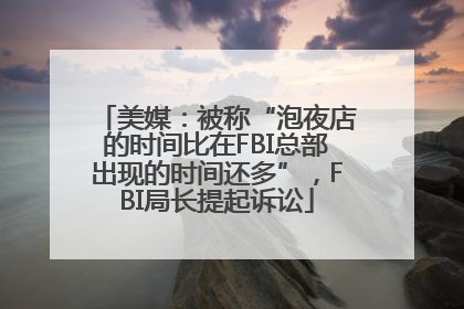 美媒：被称“泡夜店的时间比在FBI总部出现的时间还多”，FBI局长提起诉讼