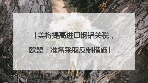 美将提高进口钢铝关税，欧盟：准备采取反制措施