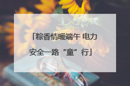 粽香情暖端午 电力安全一路“童”行