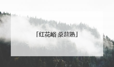 红花峪 桑葚熟