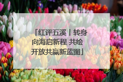 红评五溪丨转身向海启新程 共绘开放共赢新蓝图