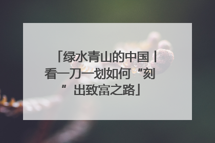 绿水青山的中国丨看一刀一划如何“刻”出致富之路