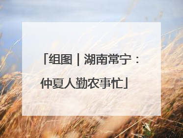 组图｜湖南常宁：仲夏人勤农事忙
