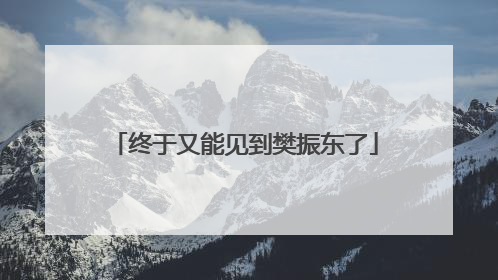 终于又能见到樊振东了