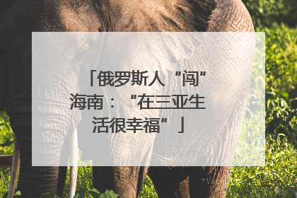 俄罗斯人“闯”海南：“在三亚生活很幸福”