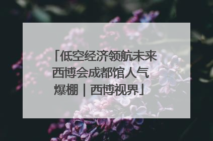 低空经济领航未来 西博会成都馆人气爆棚｜西博视界