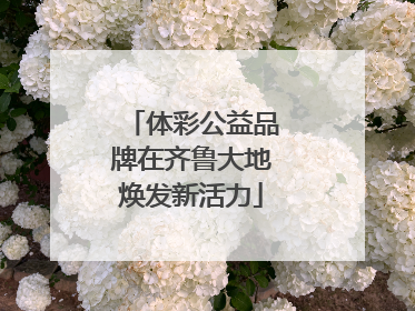 体彩公益品牌在齐鲁大地焕发新活力