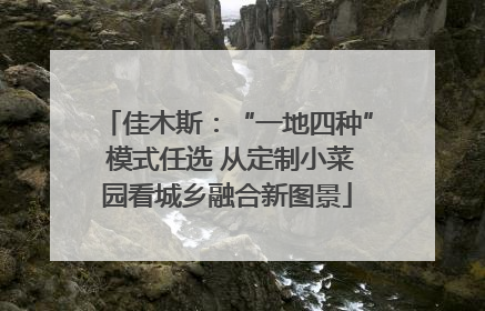 佳木斯：“一地四种” 模式任选 从定制小菜园看城乡融合新图景