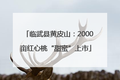 临武县黄皮山：2000亩红心桃“甜蜜”上市