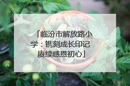 临汾市解放路小学：镌刻成长印记 赓续感恩初心