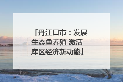 丹江口市：发展生态鱼养殖 激活库区经济新动能