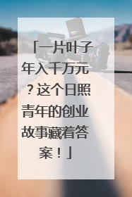 一片叶子年入千万元？这个日照青年的创业故事藏着答案！