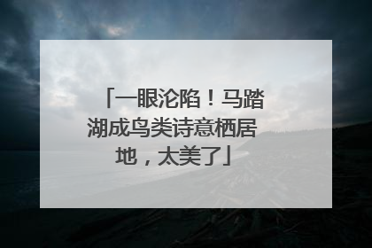 一眼沦陷！马踏湖成鸟类诗意栖居地，太美了