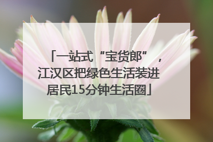 一站式“宝货郎”，江汉区把绿色生活装进居民15分钟生活圈
