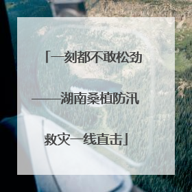 一刻都不敢松劲——湖南桑植防汛救灾一线直击