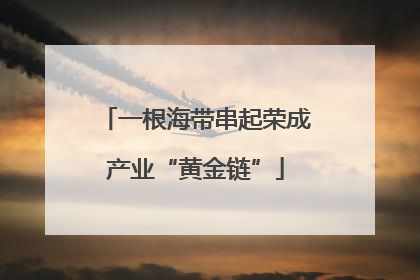 一根海带串起荣成产业“黄金链”