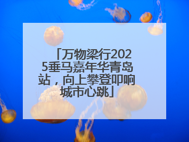 万物梁行2025垂马嘉年华青岛站，向上攀登叩响城市心跳