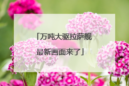 万吨大驱拉萨舰最新画面来了