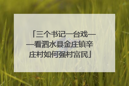 三个书记一台戏——看泗水县金庄镇辛庄村如何强村富民