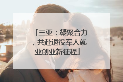 三亚：凝聚合力，共赴退役军人就业创业新征程