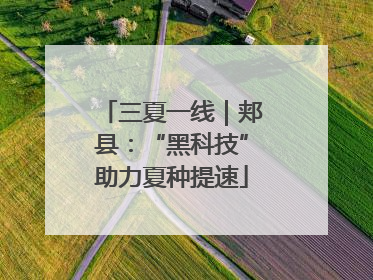 三夏一线｜郏县：“黑科技”助力夏种提速