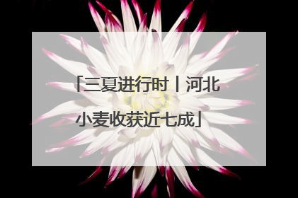 三夏进行时丨河北小麦收获近七成