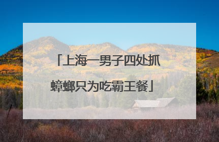 上海一男子四处抓蟑螂只为吃霸王餐