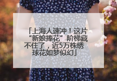上海人速冲！这片“新娘捧花”阶梯藏不住了，近5万株绣球花如梦似幻