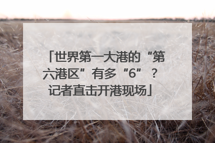 世界第一大港的“第六港区”有多“6”？记者直击开港现场