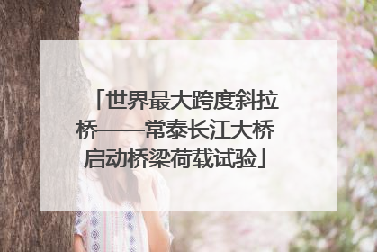 世界最大跨度斜拉桥——常泰长江大桥启动桥梁荷载试验