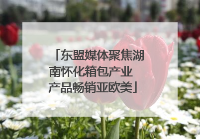东盟媒体聚焦湖南怀化箱包产业 产品畅销亚欧美