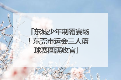东城少年制霸赛场！东莞市运会三人篮球赛圆满收官