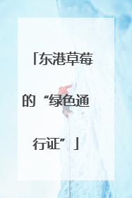 东港草莓的“绿色通行证”